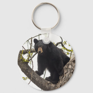 Climbing Black Bear Keychain