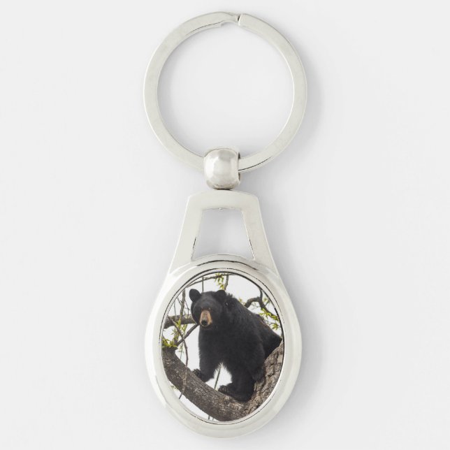 Climbing Black Bear Keychain (Front)