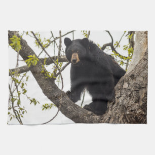 Climbing Black Bear Kitchen Towel