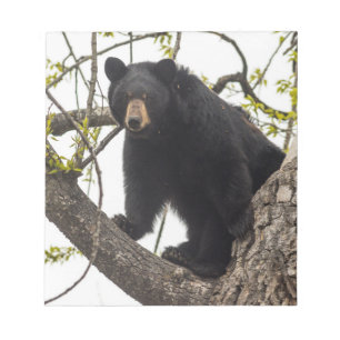Climbing Black Bear Notepad