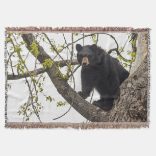 Climbing Black Bear Throw Blanket