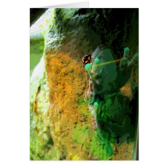 Climbing Frog CB (Front)