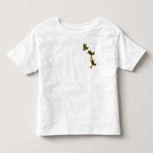 Climbing Frog Trio Toddler T-shirt
