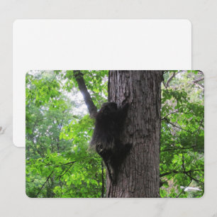 Climbing High Flat Holiday Card