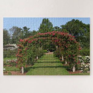 Climbing Rose Arch Elizabeth Park Garden Hartford Jigsaw Puzzle