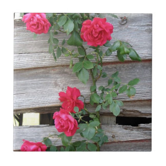 Climbing Rose Bush Tile