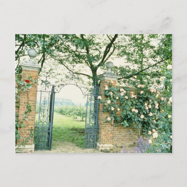 Climbing Roses Beside Wrought-Iron Gate flower Postcard (Front)