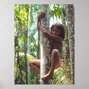Climbing Trees. Poster