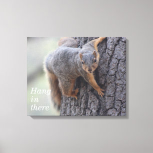 Clinging Squirrel Canvas Print
