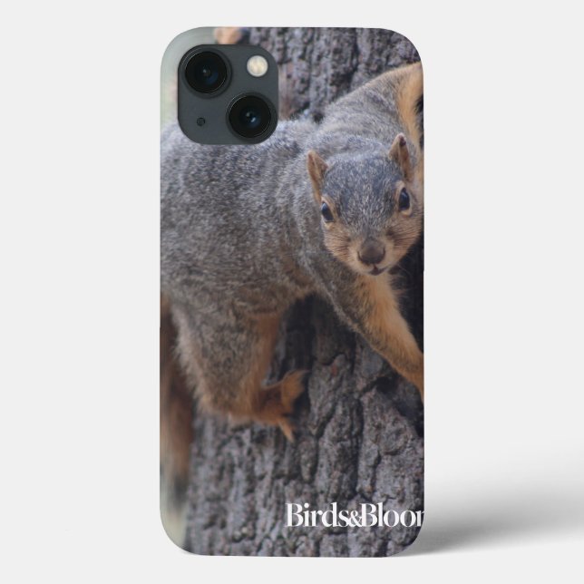 Clinging Squirrel Case-Mate iPhone Case (Back)