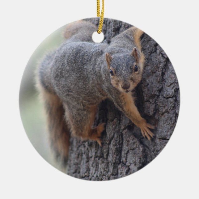 Clinging Squirrel Ceramic Ornament (Front)