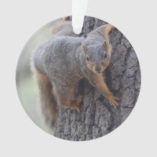 Clinging Squirrel Ornament
