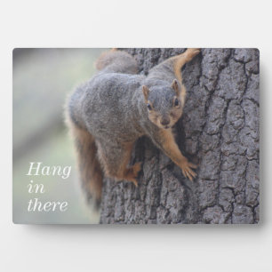 Clinging Squirrel Plaque