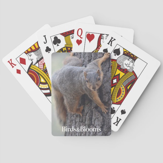 Clinging Squirrel Playing Cards (Back)