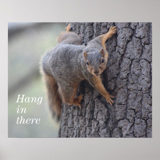 Clinging Squirrel Poster (Front)