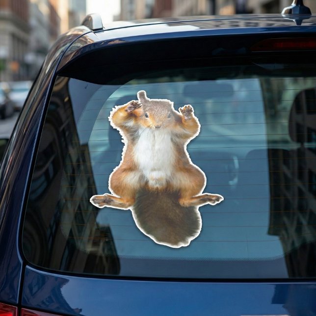 Clinging Squirrel Window Graphic (Hanging on for dear life.)