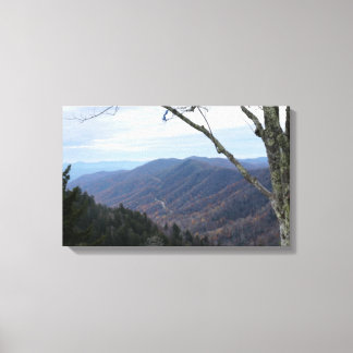 Clingmans Dome Smoky Mountains Canvas Print
