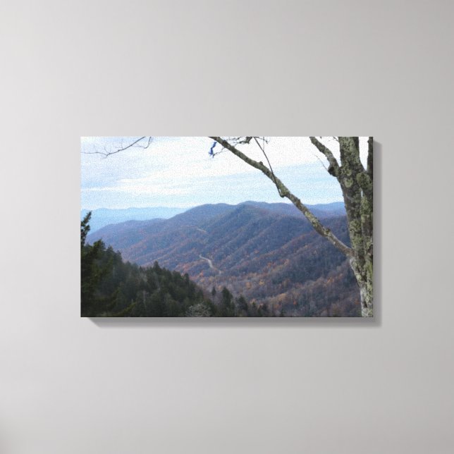 Clingmans Dome Smoky Mountains Canvas Print (Front)