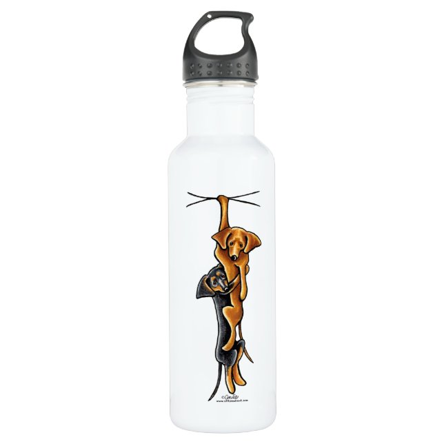 Clingy Dachshunds 710 Ml Water Bottle (Front)