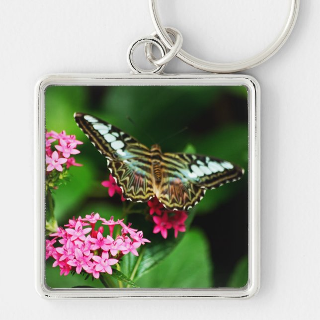 Clipper on Pentas 1 Keychain (Front)