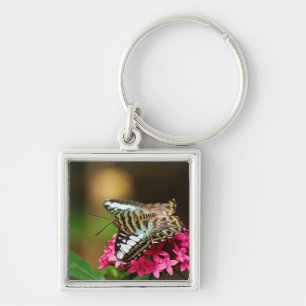 Clipper on Pentas 3 Keychain