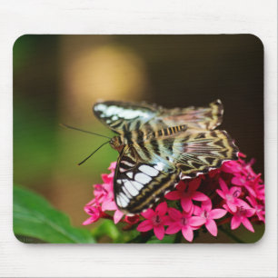 Clipper on Pentas 3 Mousepad