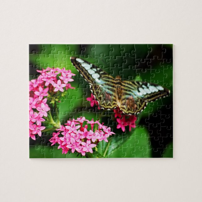 Clipper sur Pentas 1 Puzzle (Horizontal)