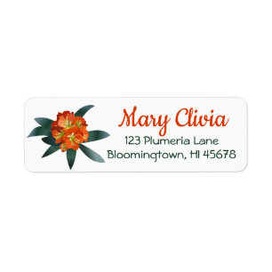 Clivia Floral Return Address Labels Orange Flower