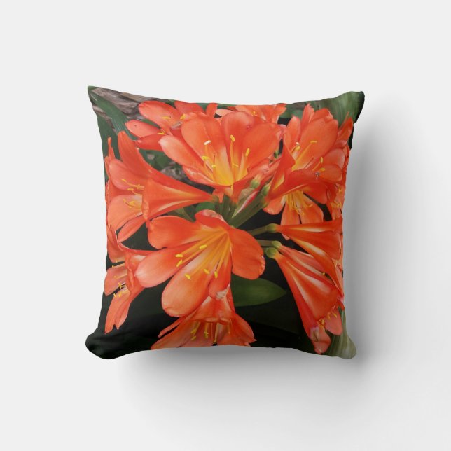 Clivia Miniata - The Orange Beautiful Flower Throw Pillow (Front)