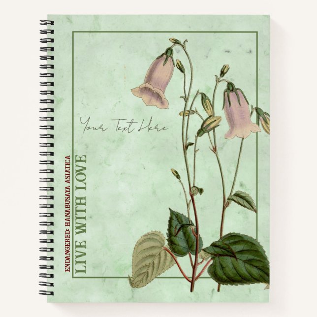 Cloches célestes : Carnet de Hanabusaya asiatica (Devant)