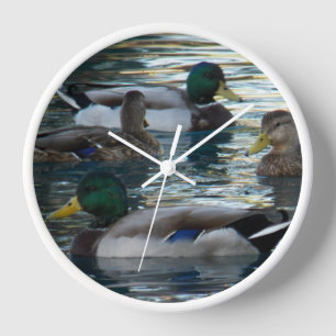 Clock - Duck Duck Duck Duck