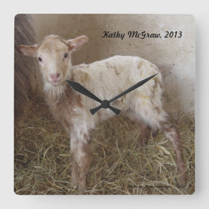 Clock: lamb KathyMcGraw Square Wall Clock
