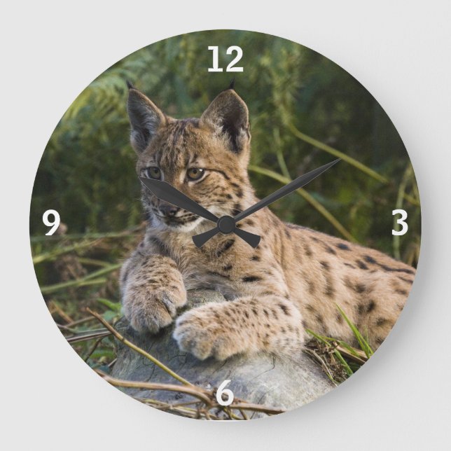 Clock - lynx (Front)