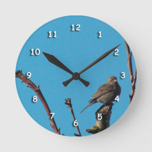 Clock - Sparrow on Branches