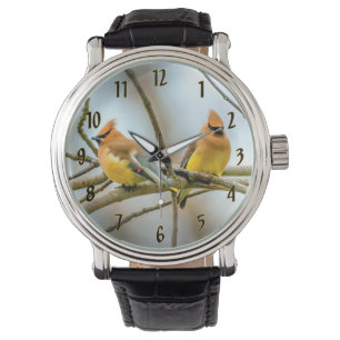clock watch