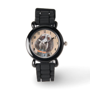 clock watch