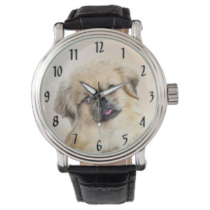 clock watch