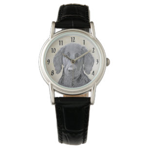 clock watch