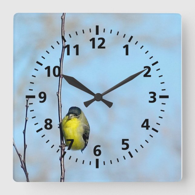 Clock - Yellow Finch (Front)