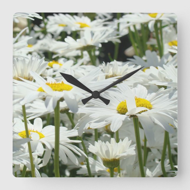 Clocks Home Decor Designer Floral Daisy Flowers (Front)