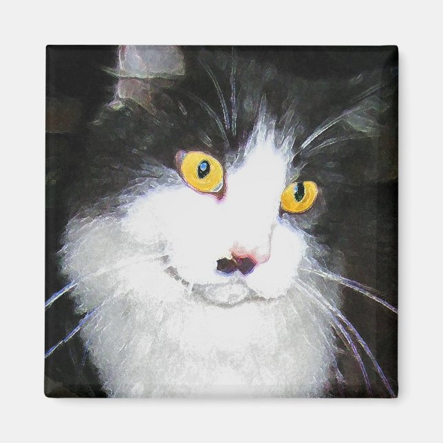 CLOE MAGNET (Front)