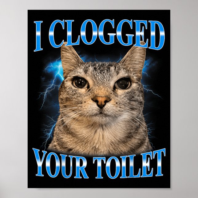 Clogged Toilet Funny Staring Cat Meme Stupid Poster (Front)