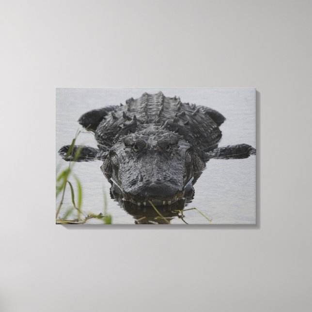 Close and personal canvas print (Front)