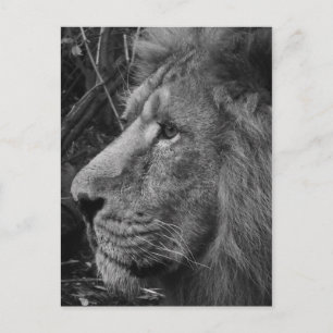 close bw postcard