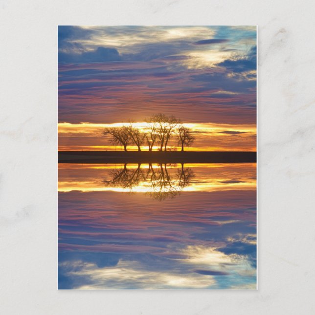 Close Encounters Two Postcard (Front)