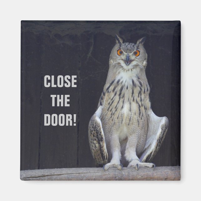 Close The Door! Magnet (Front)