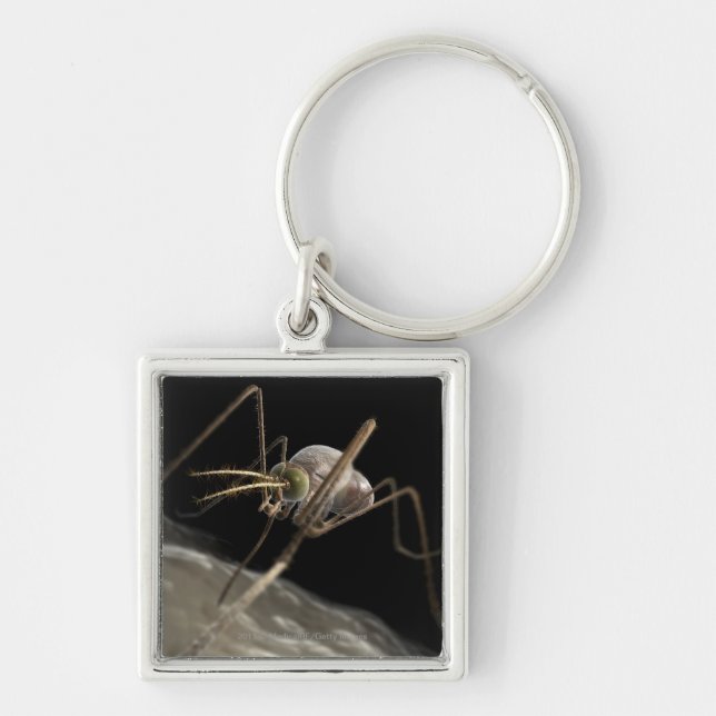 Close up 3d mosquito biting keychain (Front)