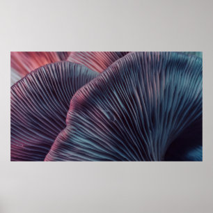 Close up beautiful bunch mushrooms color light in poster