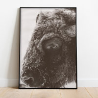 Close-Up Bison Portrait Black and White Wall Art