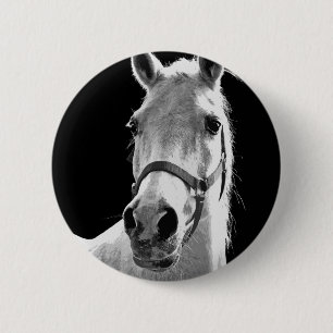 Close-up Black White Horse in Night 2 Inch Round Button